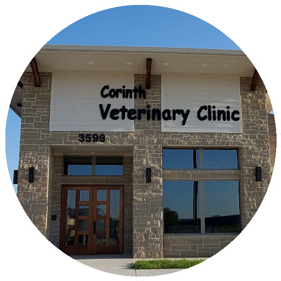 Circular image containting Corinth Veterinary Clinic Building